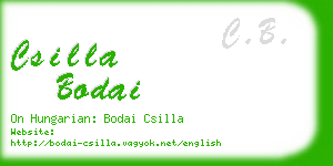 csilla bodai business card